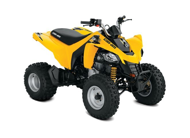 Can Am DS 250