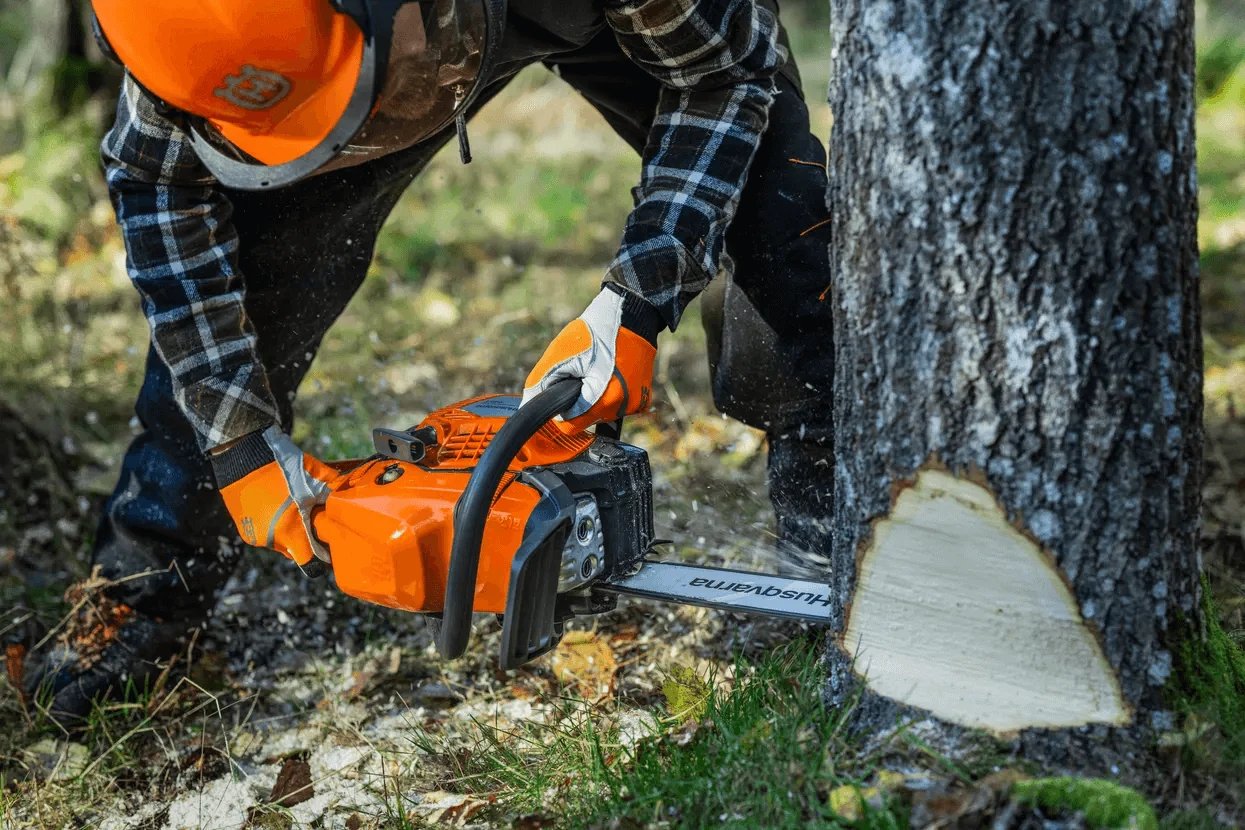 What Size Chainsaw Do I Need? | Husqvarna & ECHO Guide
