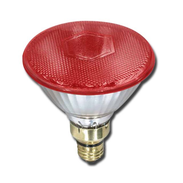 Canarm Par38 100W Red Heat Lamp Bulb