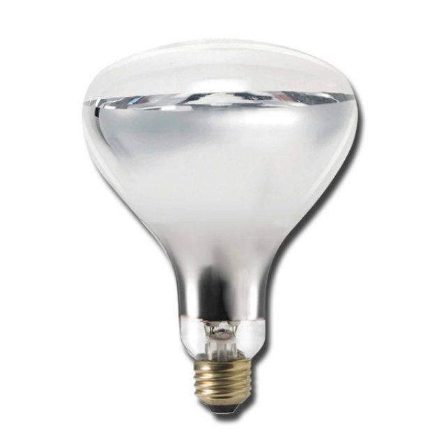Canarm R40 250W Clear Heat Lamp Bulb