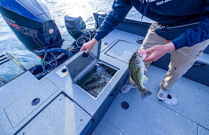 2026 Lowe Boats FM 1875 Metallic Blue