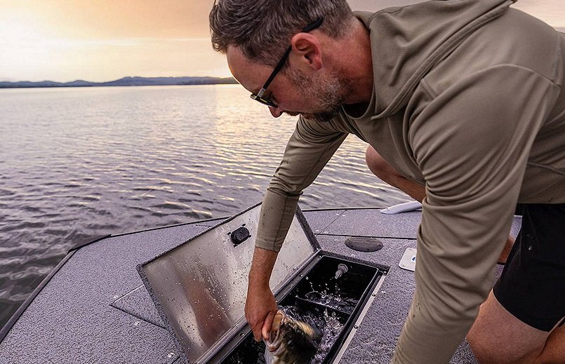 2026 Lowe Boats SD224 Black Exterior w/ Gray Furniture