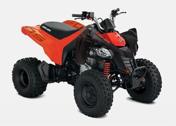 2023 Can Am DS 250