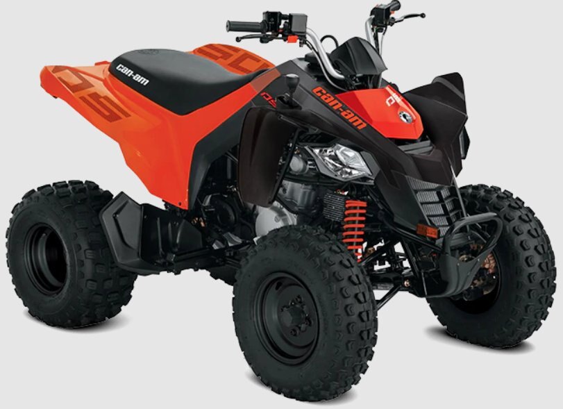 2022 Can Am DS 250