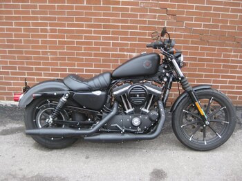 2019 Harley Davidson® XL883N Iron 883™