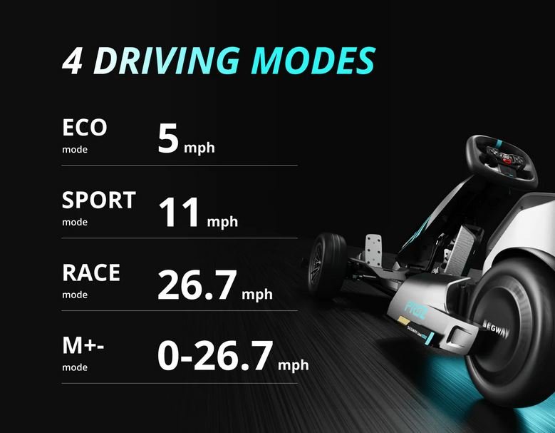 Emmo Segway Ninebot GoKart Pro 2