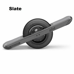 2022 Vintage Iron Onewheel Pint – Slate