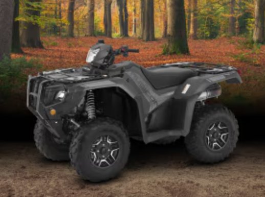 2025 Rubicon 520 Offer