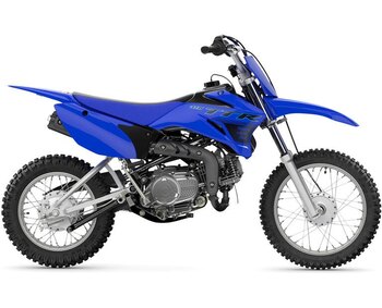 2023 Yamaha TT R 230