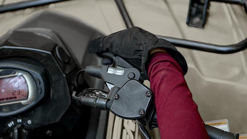 2026 Arctic Cat Alterra 450 Limited Tungstène