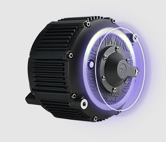 79BIKE Falcon Pro Electric Dirt Bike(released) Silver Metallic/Purple