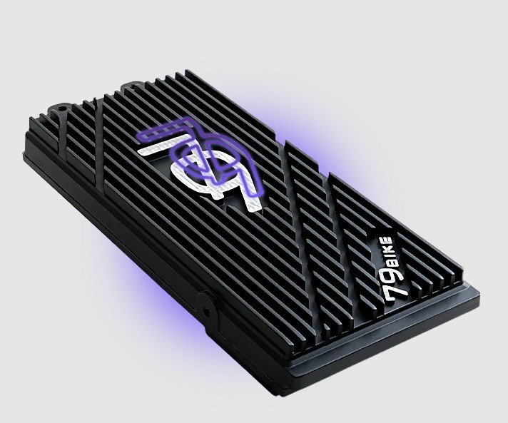 79BIKE Falcon Pro Electric Dirt Bike(released) Silver Metallic/Purple