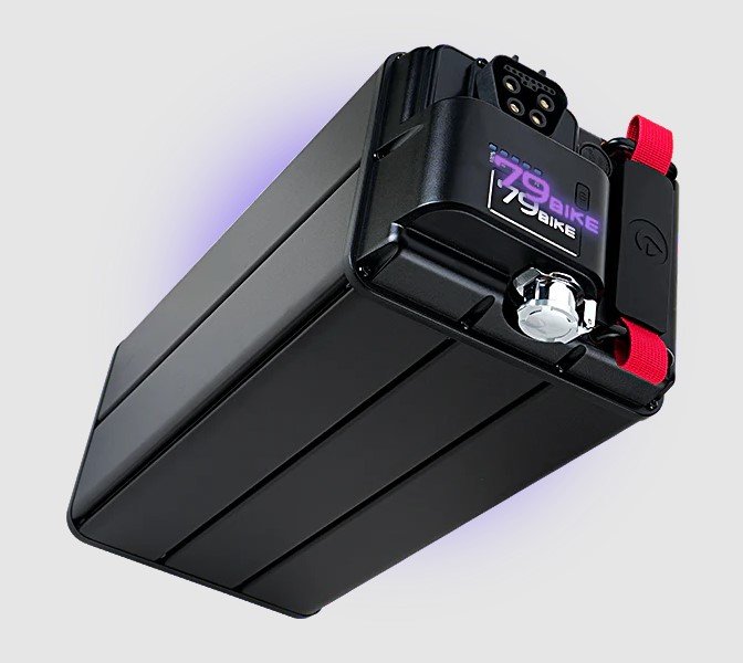 79BIKE Falcon Pro Electric Dirt Bike(released) Silver Metallic/Purple