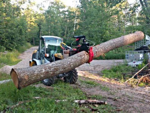 Branch Manager 56 T2001 BMGXT Mini Skid Steer Log Grapple