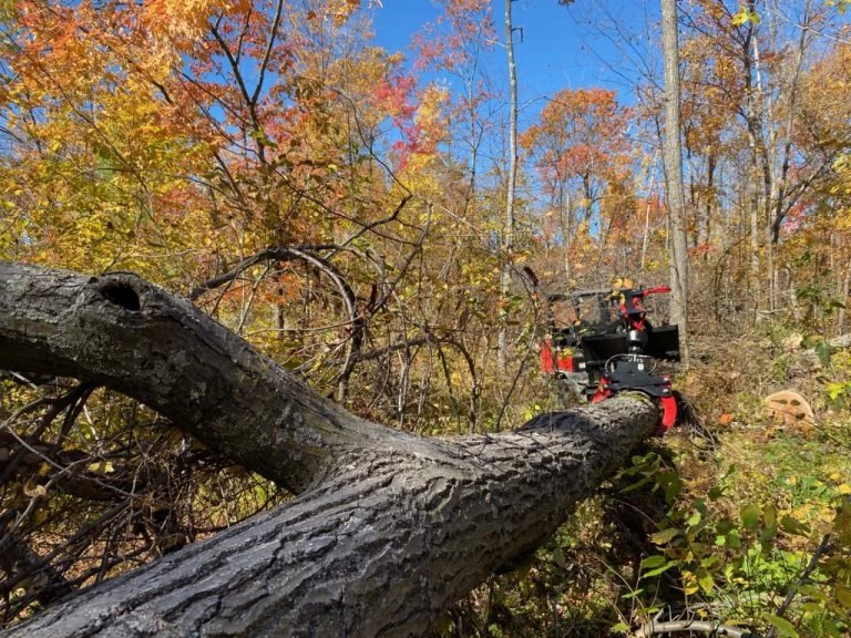 Branch Manager 56 T1036 BMGXR2 Mini Skid Steer Log Grapple