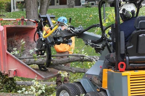 Branch Manager 66 T3010 Mini Skid Steer Log Grapple