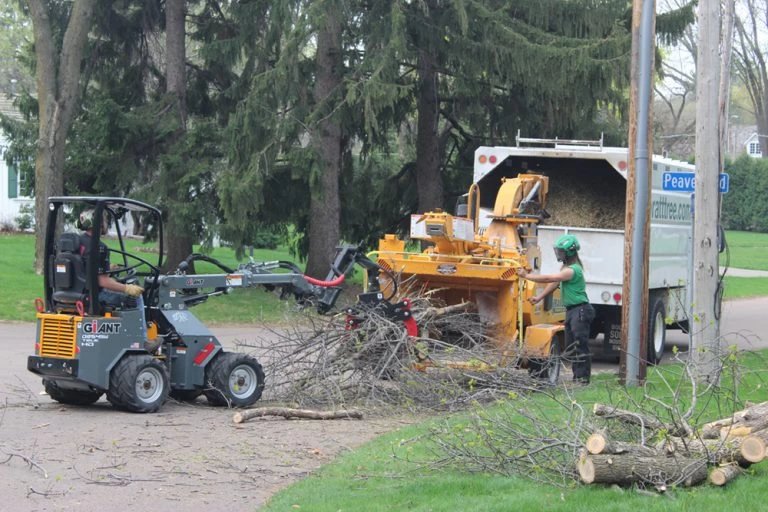 Branch Manager 66 T3010 Mini Skid Steer Log Grapple