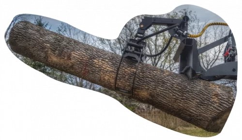 Branch Manager 53 T4001 HD Full Sized Skid Steer Log Grapple