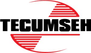 Keep Your Tecumseh Powered Snow Blower in Action.