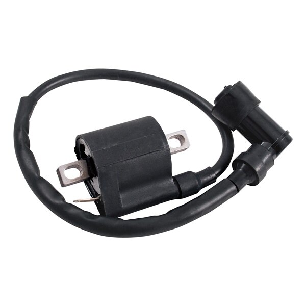 Outside Distributing External Ignition Coil 217121