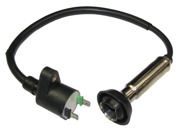 Outside Distributing External Ignition Coil 217486