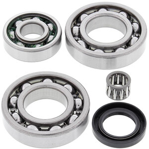 ALL BALLS DIFFERENTIAL BEARING & SEAL KIT (25-2018)