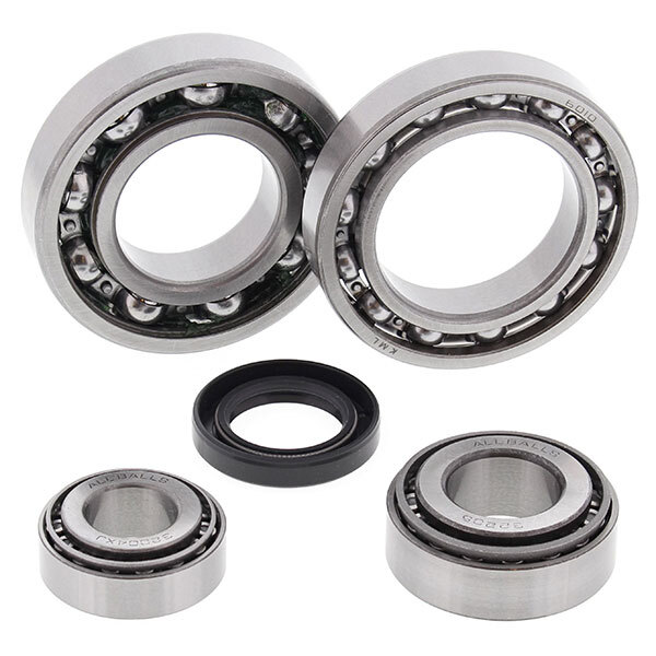 ALL BALLS DIFFERENTIAL BEARING & SEAL KIT (25 2019)