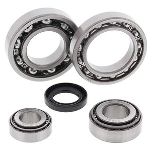 ALL BALLS DIFFERENTIAL BEARING & SEAL KIT (25-2019)