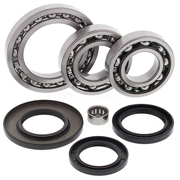 ALL BALLS DIFFERENTIAL BEARING & SEAL KIT (25 2023)