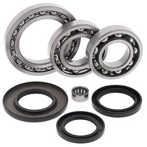 ALL BALLS DIFFERENTIAL BEARING & SEAL KIT (25-2023)