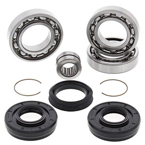ALL BALLS DIFFERENTIAL BEARING & SEAL KIT (25-2046)