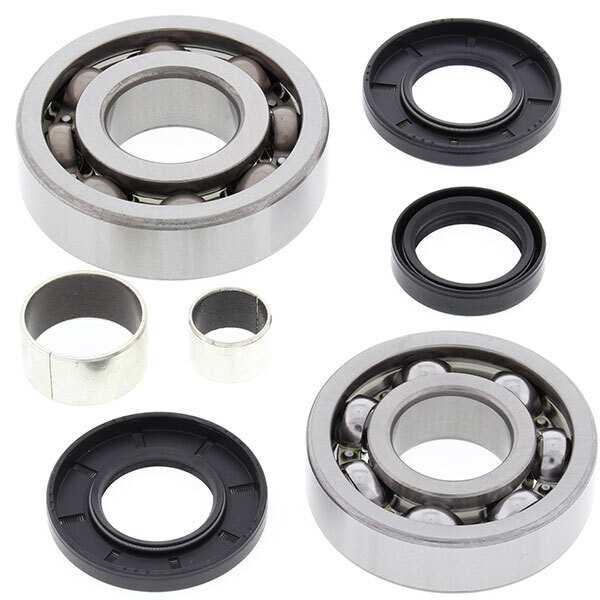 ALL BALLS DIFFERENTIAL BEARING & SEAL KIT (25 2054)
