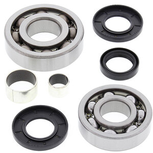 ALL BALLS DIFFERENTIAL BEARING & SEAL KIT (25-2054)