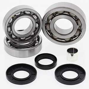 ALL BALLS DIFFERENTIAL BEARING & SEAL KIT (25-2058)