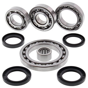 ALL BALLS DIFFERENTIAL BEARING AND SEAL KIT (25-2064)