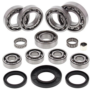 ALL BALLS DIFFERENTIAL BEARING & SEAL KIT (25-2090)
