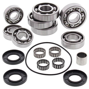 ALL BALLS DIFFERENTIAL BEARING & SEAL KIT (25-2092)