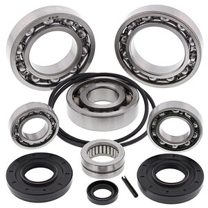 ALL BALLS DIFFERENTIAL BEARING & SEAL KIT (25-2095)