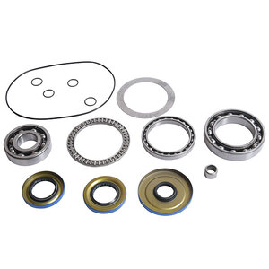 ALL BALLS DIFFERENTIAL BEARING & SEAL KIT (25-2121)
