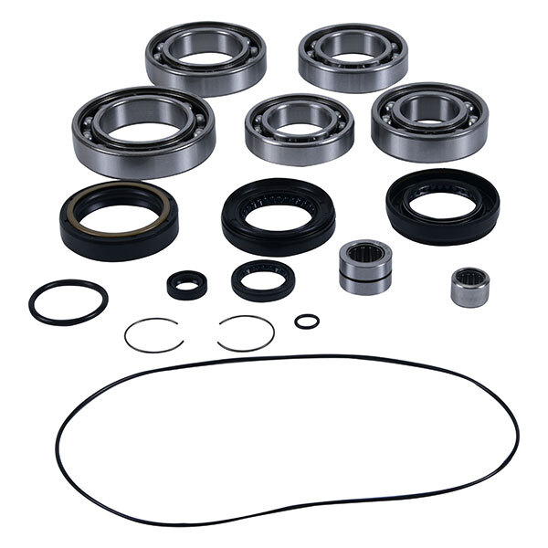 ALL BALLS DIFFERENTIAL BEARING & SEAL KIT (25 2136)