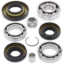 ALL BALLS DIFFERENTIAL BEARING & SEAL KIT (25-2003)
