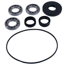 ALL BALLS DIFFERENTIAL BEARING & SEAL KIT (25-2133)
