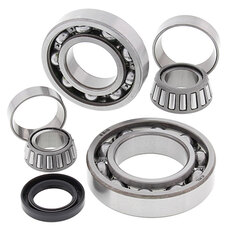 ALL BALLS DIFFERENTIAL BEARING & SEAL KIT (25-2038)