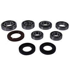 ALL BALLS DIFFERENTIAL BEARING & SEAL KIT (25-2109)