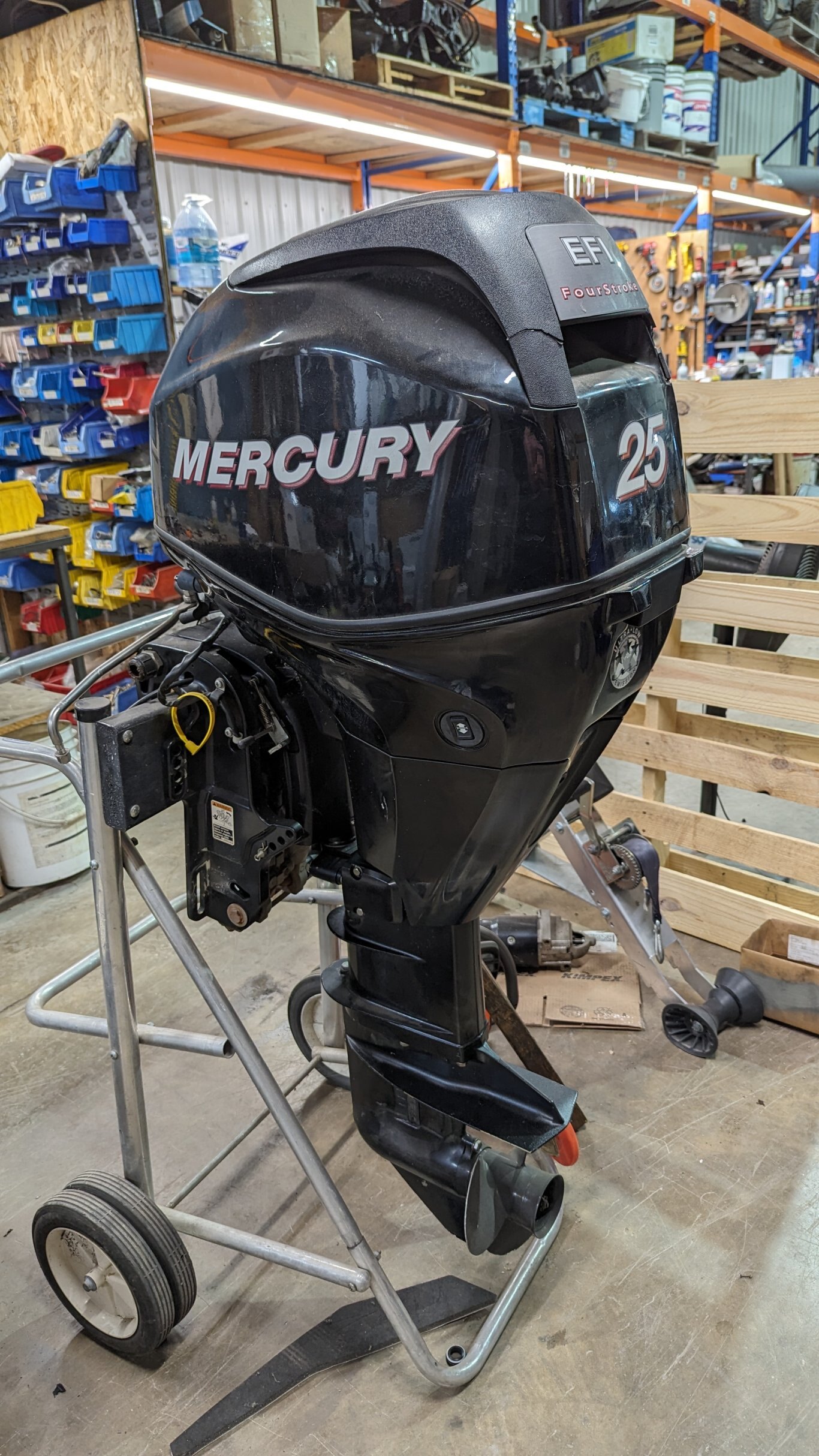 Mercury - FourStroke 25 EFI