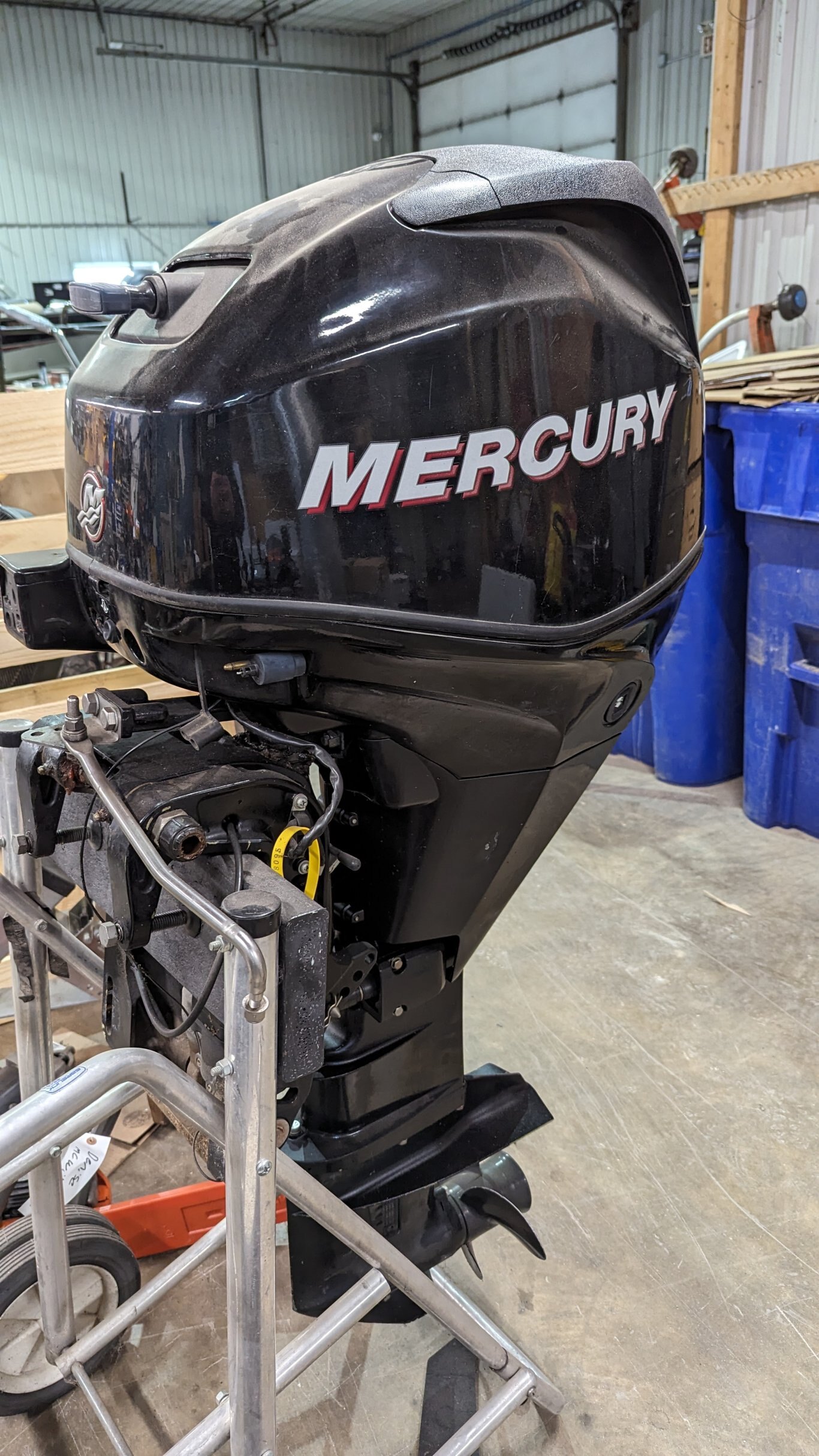 Mercury FourStroke 25 EFI