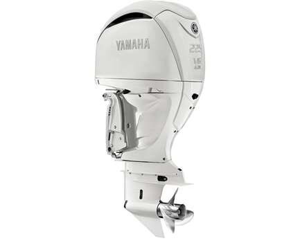 Yamaha F225 White