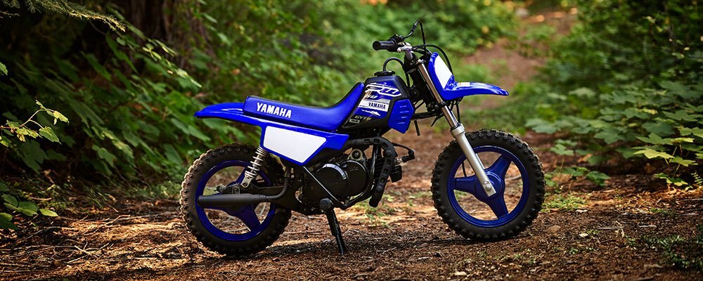 2019 Yamaha PW50 (2 STROKE)