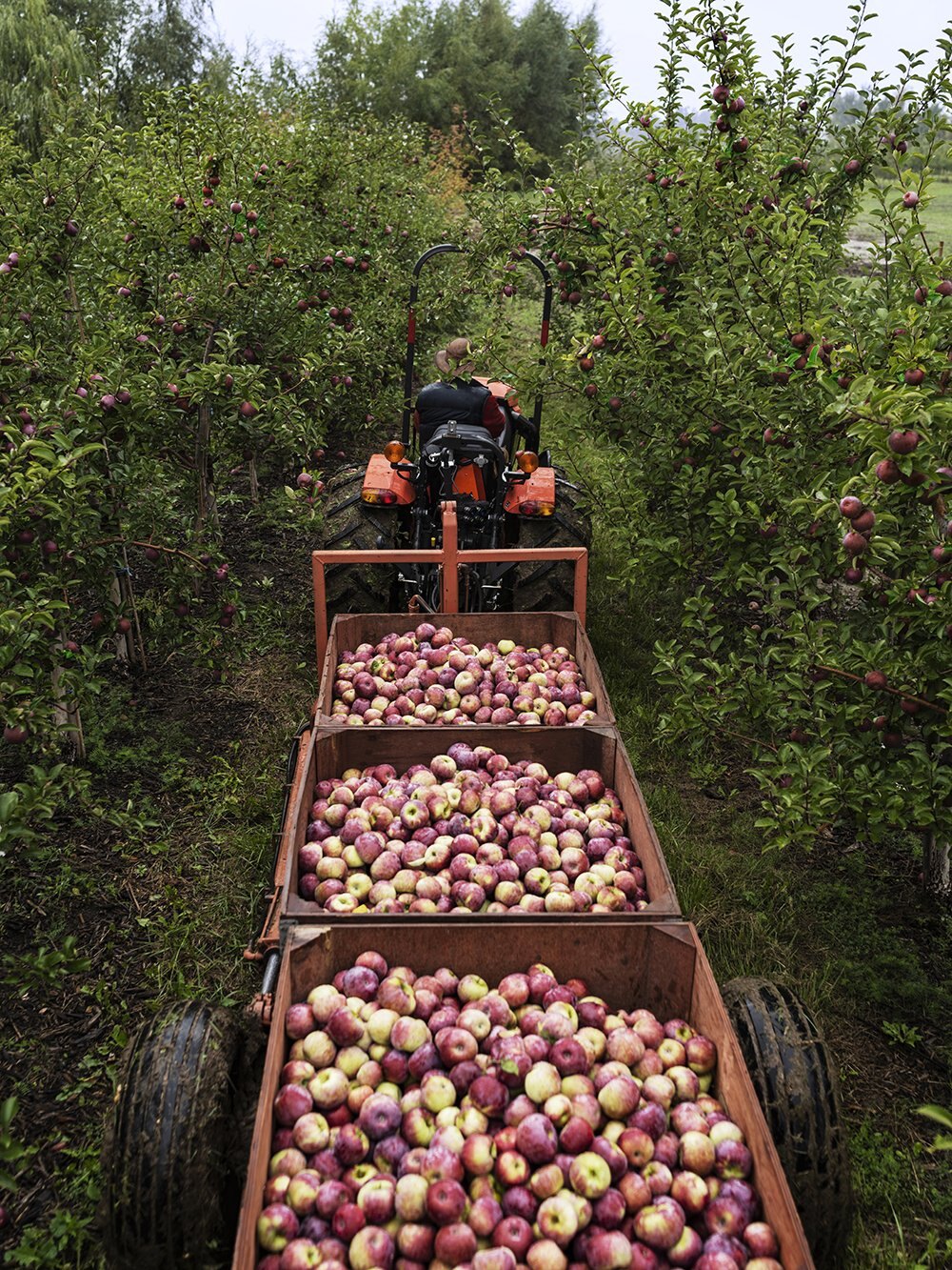 Kubota M4N Series TOPLINE TRAILER AND EQUIPMENT SALES, division of