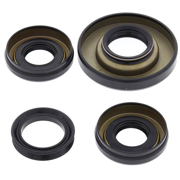 ALL BALLS DIFFERENTIAL SEAL KIT (25 2006 5)